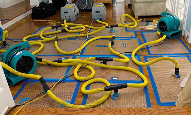 Professional Water Damage Restoration technician working in Brainard, NY